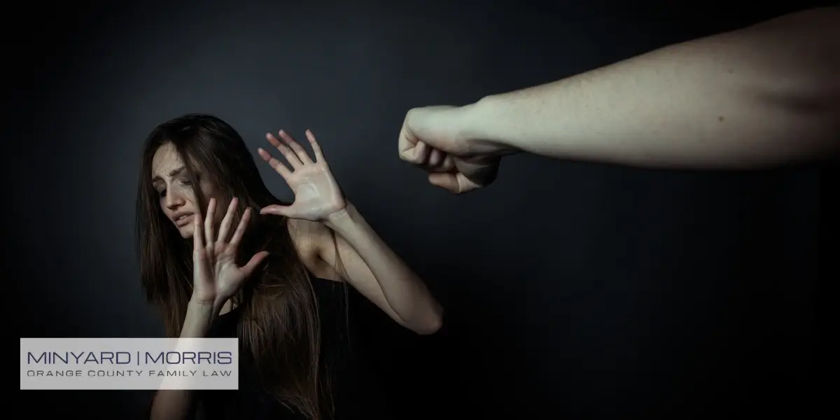 Best Orange County Domestic Violence Lawyer
