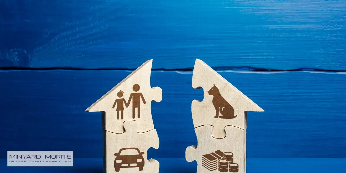 Best Laguna Hills Business Owners Divorce Attorney