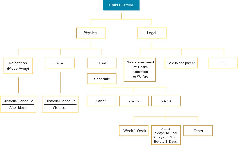 Infographic about Child Custody Decision Tree