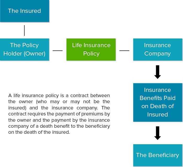 Infographic - Life Insurance